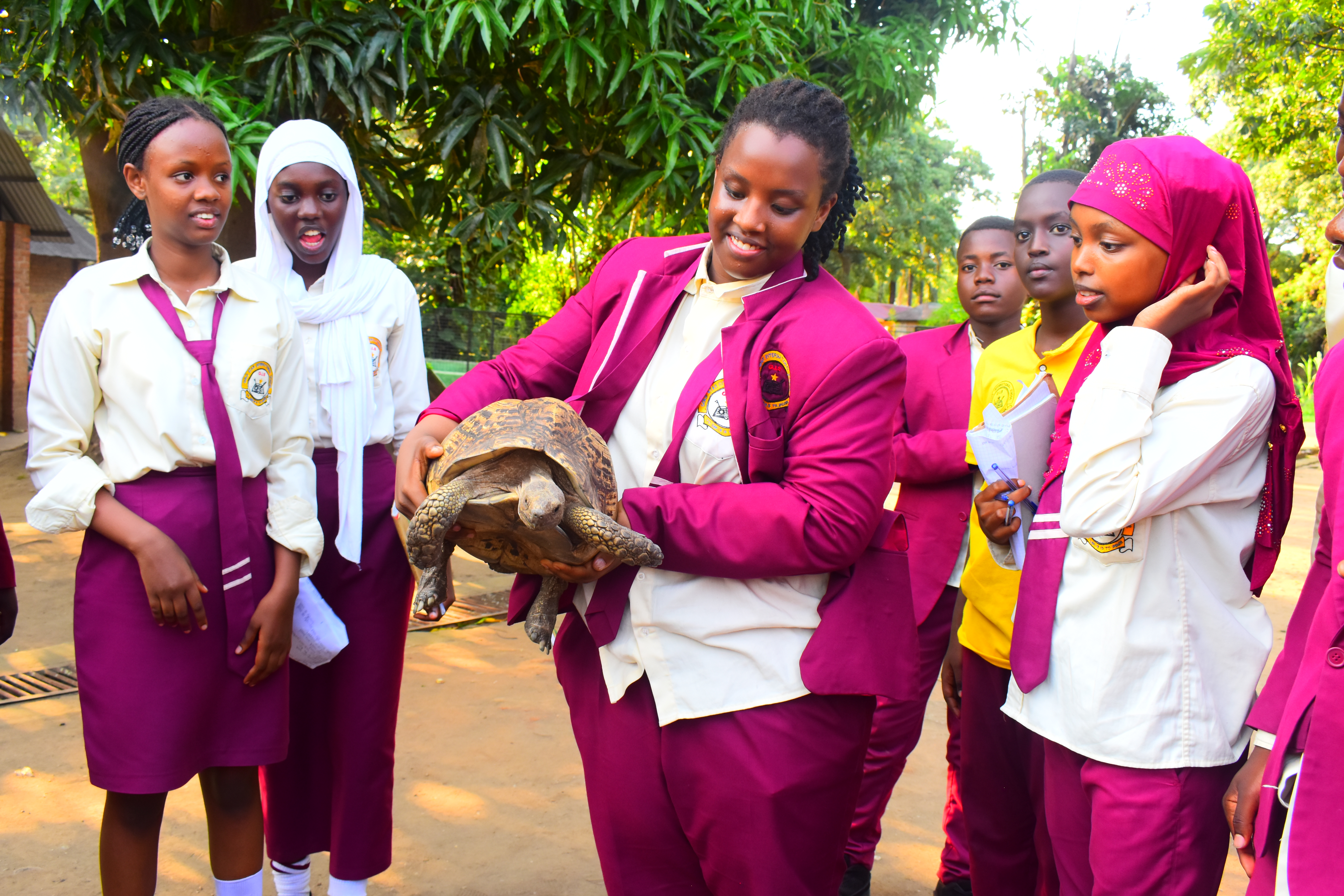 Biology and Human science